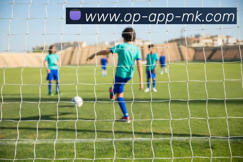 MK体育服务体系